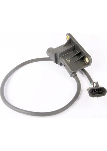 33206 Eksantrik Sensoru 6238000