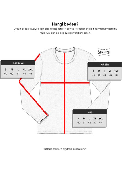 Kadın Korına O Yaka Uzun Kollu Slim Fit Kesim Likralı Penye T-Shirt fiyatları