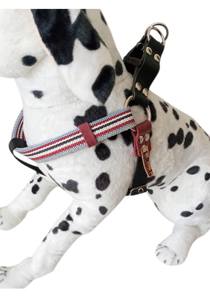 Köpek Göğüs Tasması Orta ve Büyük Irk Göğüs ölçüsü:50-90cm Ayarlamalı Dog Harness Gt5-33