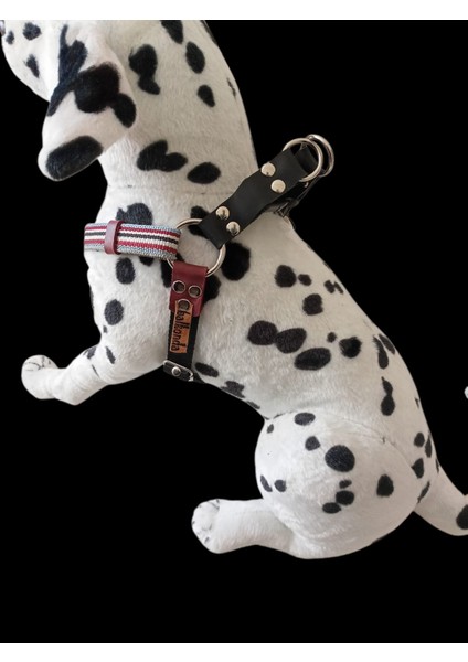 Köpek Göğüs Tasması Orta ve Büyük Irk Göğüs ölçüsü:50-90cm Ayarlamalı Dog Harness Gt5-33