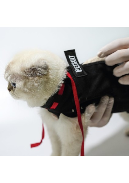 Yara Koruma Korsesi | Kedi Ameliyat Sonrası Koruyucu Korse - Tulum modelleri