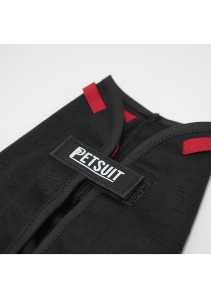 Yara Koruma Korsesi | Kedi Ameliyat Sonrası Koruyucu Korse - Tulum