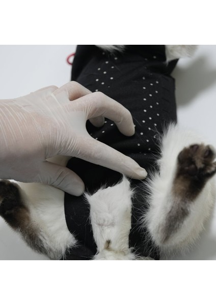 Yara Koruma Korsesi | Kedi Ameliyat Sonrası Koruyucu Korse - Tulum