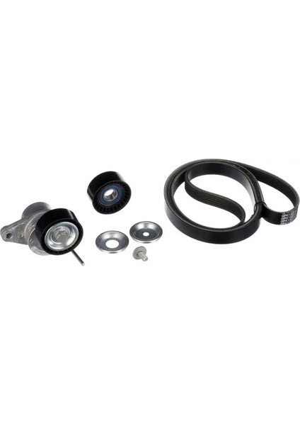 K016PK1823XS Kayis Seti 117206746R 117206838R