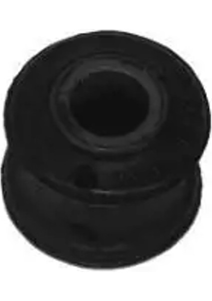 1510702 Viraj Lastigi On A6013210350