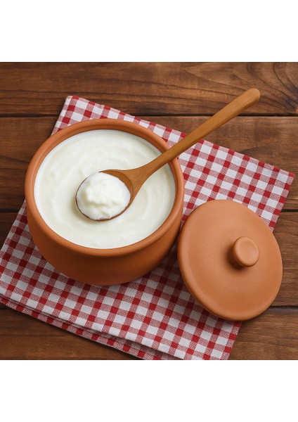 toprak sırlı Yoğurtluk 3kg