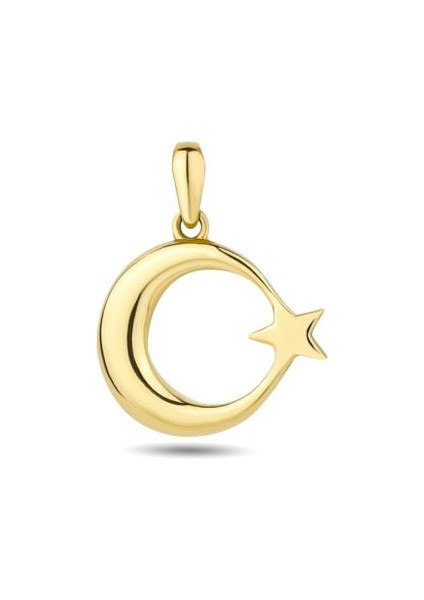 14 Ayar Tasarım Altın Kolye Ucu