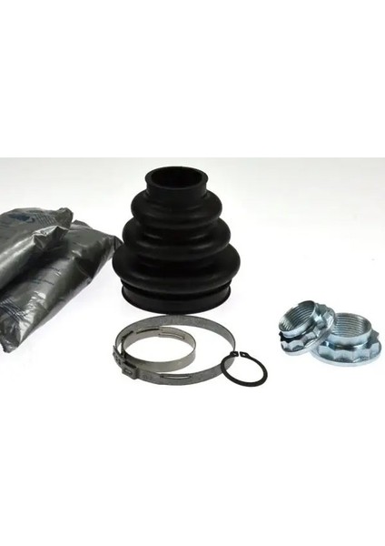 304490 Aks Korugu Dis 33211229594 33217572439