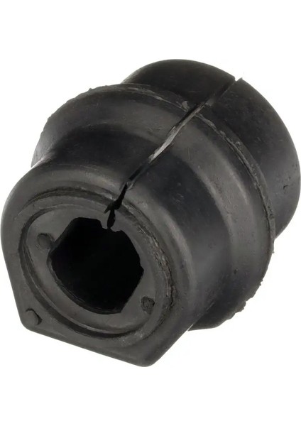 R59730 Viraj Lastigi 509487