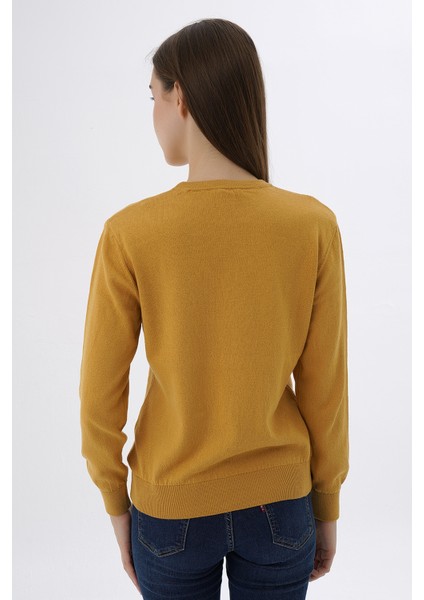 Kadın Hardal %100 Organik Pamuk Bisiklet Yaka Triko Kazak Bluz TRIST-6101 modelleri