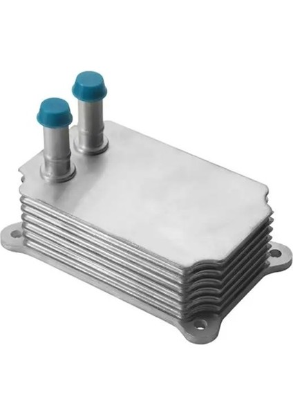 63153 Motor Yag Sogutucusu YC1Q6B624AK