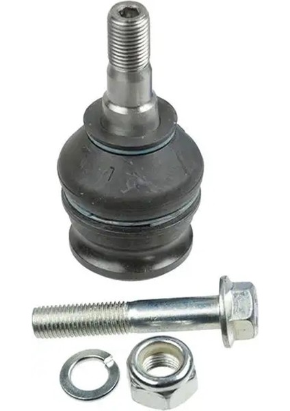 1567202 Rotil Alt 20206AJ000 21067GA050