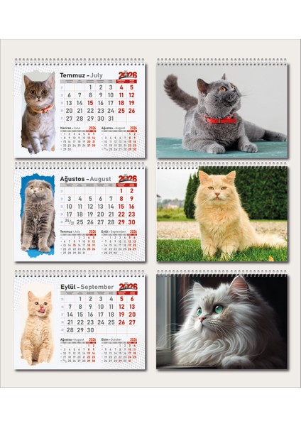 Üçgen Takvim Kedi Resimli 13 Yaprak - 2026 indirimleri