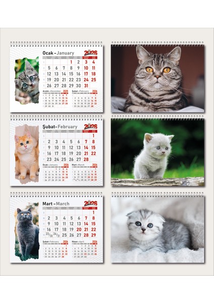 Üçgen Takvim Kedi Resimli 13 Yaprak - 2026