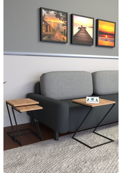 Z Zigon Sehpametal Siyah Ayaklı fiyatları