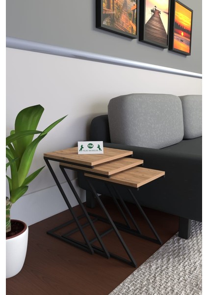 Z Zigon Sehpametal Siyah Ayaklı modelleri