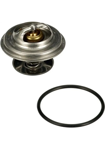 TH01982G1 Termostat 0042038375 0052032675 51064020058