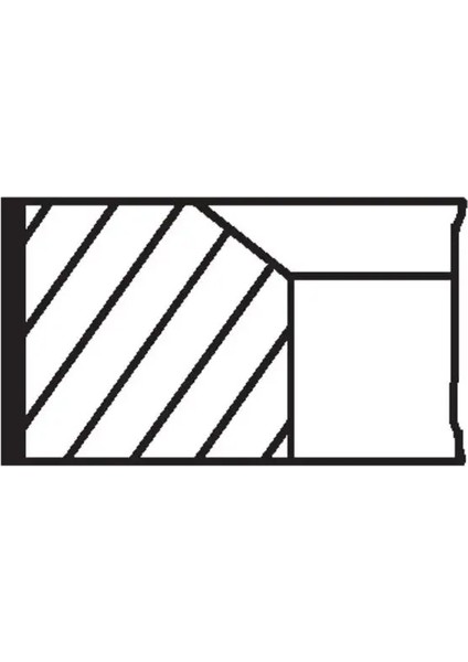 02188N0 Segman Olcu: Std 7701467670