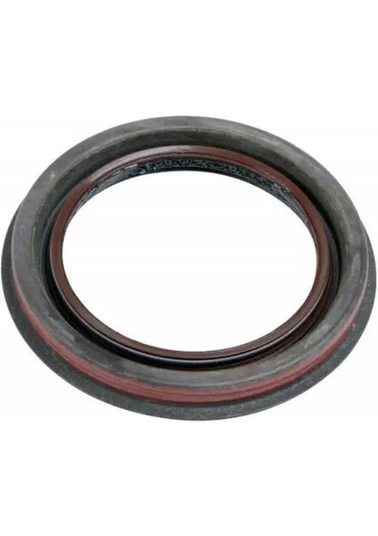 28754 Aks Kecesi Arka