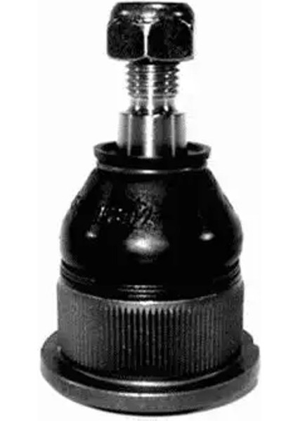 1051903 Rotil Alt 31121126254