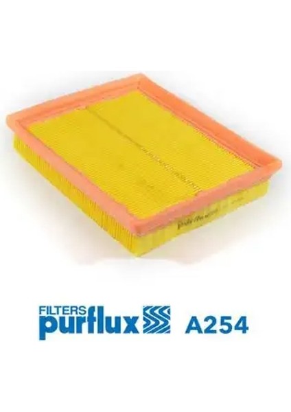 A254 Hava Filtresi 1444P9 25069012 5834037