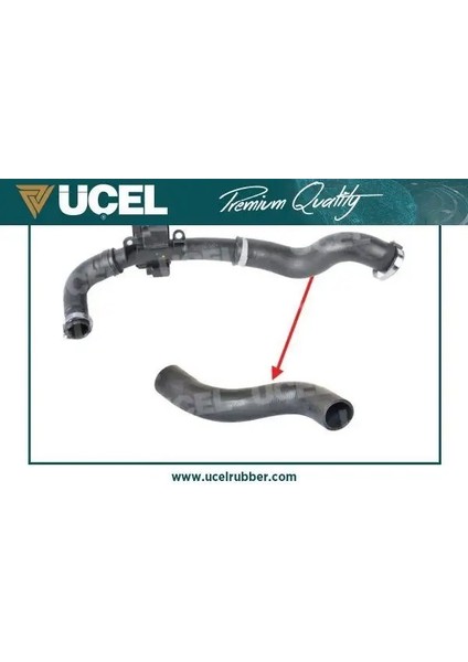 15710 Turbo Hortumu 8200534296