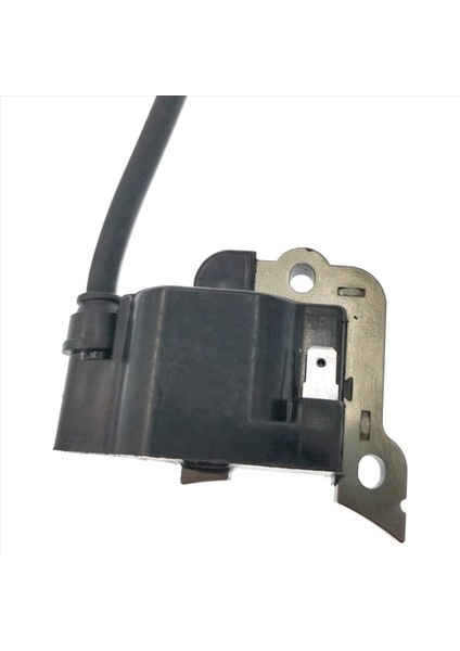 2x Otomatik Parçalar Çim Biçme Motoru Ateşleme Modülü Yankı EB650 Motorlu Motor Motor Motor Fırçası Kesici Ot Yiyen (Yurt Dışından) modelleri