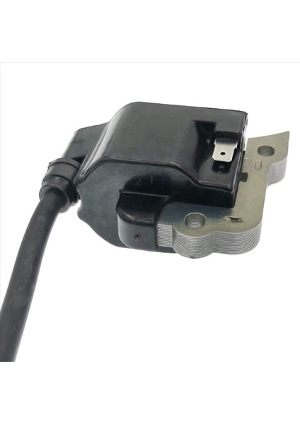 2x Otomatik Parçalar Çim Biçme Motoru Ateşleme Modülü Yankı EB650 Motorlu Motor Motor Motor Fırçası Kesici Ot Yiyen (Yurt Dışından) fırsatları