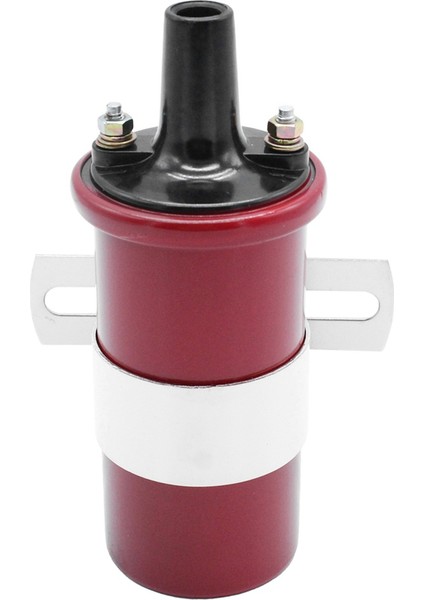 Msd 8202 Mavi 12V Ateşleme Bobini 45 000 Volt (Yurt Dışından) fiyatları