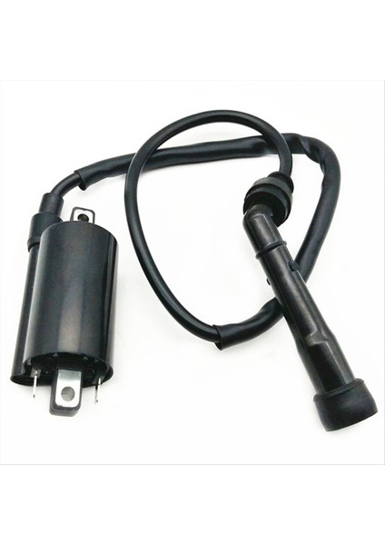 2pcs Motosiklet Ateşleme Kontak Sistemi Yamaha V Star 650 1999 -2014 GN250 Atv 300CC Için (Yurt Dışından) fırsatları