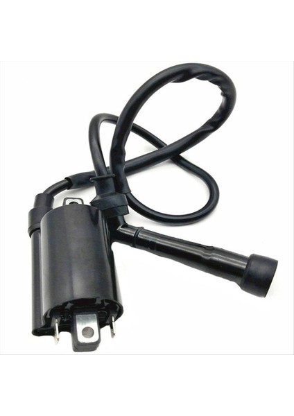 2pcs Motosiklet Ateşleme Kontak Sistemi Yamaha V Star 650 1999 -2014 GN250 Atv 300CC Için (Yurt Dışından) indirimleri