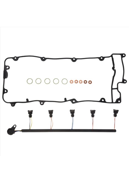 AMR6103 Yakıt Enjektörü Kablo Dışı ve Land Rover Discovery Için Rocker Conta 2 Td5 LVP000020 (Yurt Dışından)