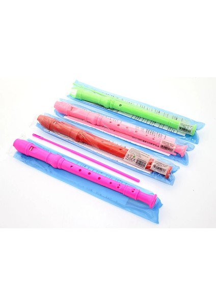 Renkli Plastik Flüt