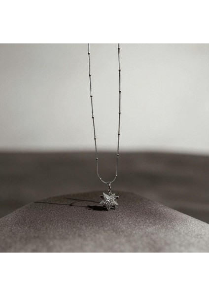 Kadın Gümüş 316L Çelik Yıldız Figürlü Kolye Dönen Uçlu Kolye – Paslanmaz Suya Dayanıklı Zarif Takı – Hediyelik Gümüş Kolye indirimleri
