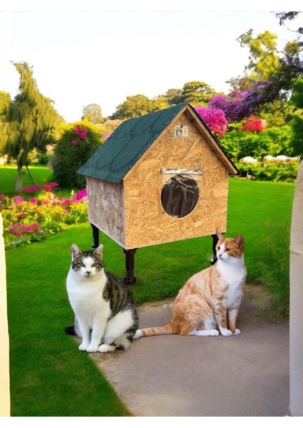 Kedi Evi Kedi Yuvası Kedi Barınağı 2 Kedilik Su ve Isı Yalıtımlı Yerden Yüksek Ayaklı