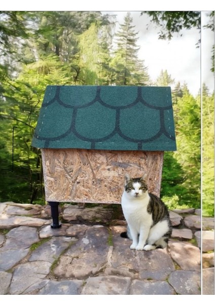 Kedi Evi Kedi Yuvası Kedi Barınağı 2 Kedilik Su ve Isı Yalıtımlı Yerden Yüksek Ayaklı fırsatları