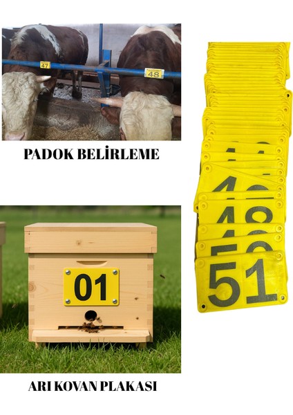 25 Adet Sarı Arı Kovan Plakası -Padok Belirleme-Fidan Belirleme -Et Pay Belirleme Plakası