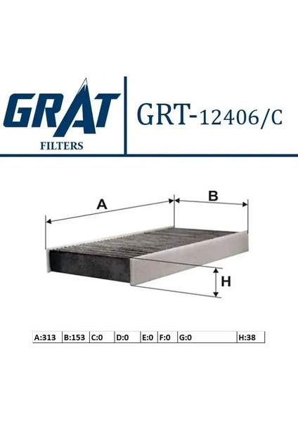 12406C Polen Filtresi (Karbonlu) 647943