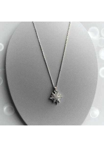 Kadın Yıldız Figürlü 316L Çelik Kolye Yıldız Kolye Parlak Taş Detaylı Kararmaz Kadın Çelik Kolye Yıldız Kolye Parlak Taşlı Kolye Gümüş Renk Kolye 316L Çelik Kolye Kararmayan Kolye Işıltılı Kolye
