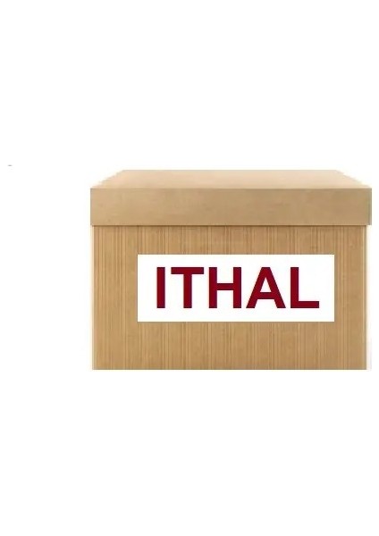 119830770480 Bagaj Kapak Amortisoru 119830770480 fiyatları