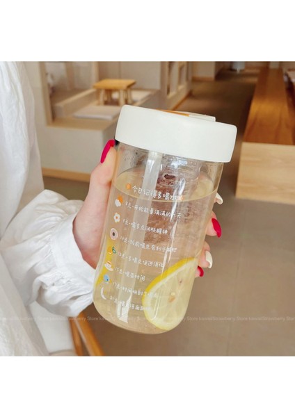 Cam Detoks Matara Süzgeçli Pipetli Detoks Su Matara Detoks Şişe Gıdaya Uygun Pp+Pc ve Bpa Içermez fiyatları