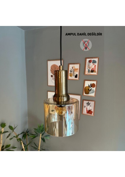 Lille Cam Bal Rengi Sarkıt Avize Gold Fener Başlık Lamba Salon Mutfak Avizeleri Pastane Modelleri