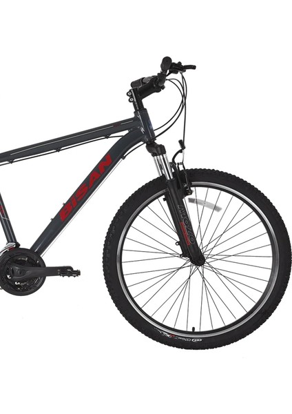 Atlas Dağ Bisikleti 48 cm V 29 Jant 21 Vites Parlak Gri Kırmızı fiyatları