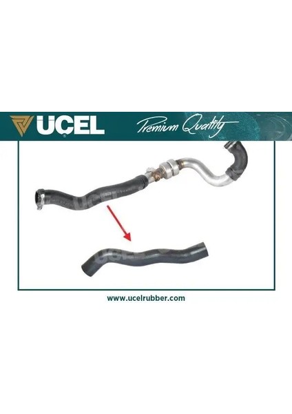 15682 Turbo Hortumu 8200598006