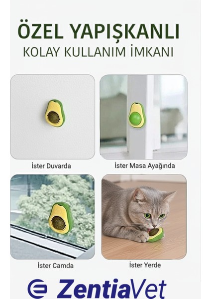 Doğal & Yenilebilir Kedi Nanesi Otu Avokado Kedi Çimi Özel Yapışkanlı 360° Dönen Catnip Yalama Topu modelleri