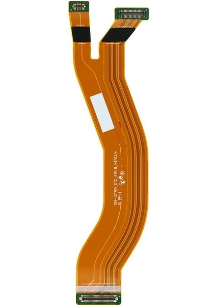 Samsung S10 Lıte G770 Uyumlu Ara Film / Main Flex Senalstore