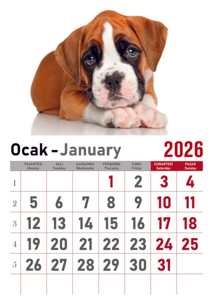 Takvim - Spiralli 12 Yaprak 32X47 cm - Kuşe Kağıt Duvar Takvimi fırsatları