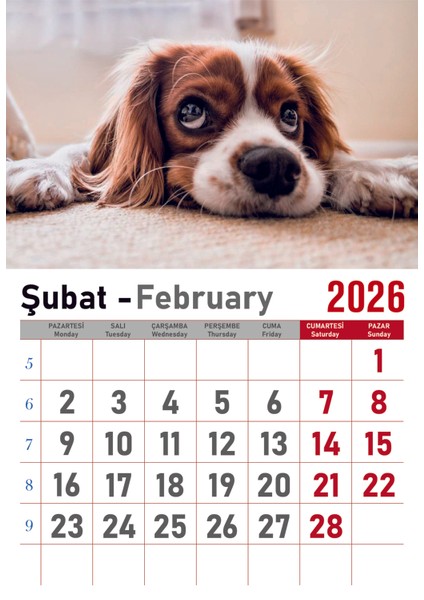 Takvim - Spiralli 12 Yaprak 32X47 cm - Kuşe Kağıt Duvar Takvimi indirimleri