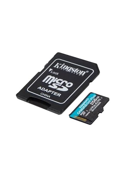 256GB Canvas Go Plus Microsd Card | Up To 200MB/S | 10, Uhs-I, U3, V30, A2 | SDCG4/256GB modelleri