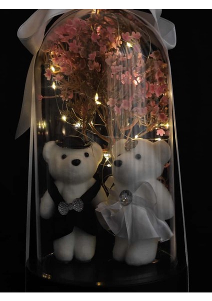 🌟 Romantik Gelin Damat Fanus | LED Işıklı Dekoratif Hediye | Sevgililer Günü, Düğün, Yıldönümü, Anneler Günü Için Özel Tasarım fırsatları